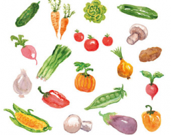 Watercolor vegetable | Etsy