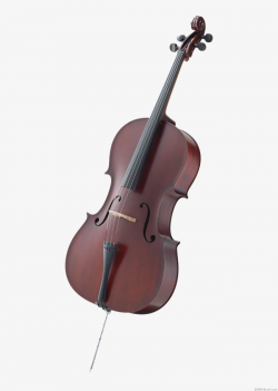Cello, Western Musical Instruments, Musical Instruments, Culture And ...