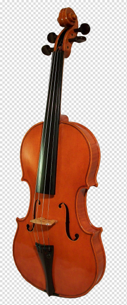 Violin Cello Musical instrument, Violin transparent ...