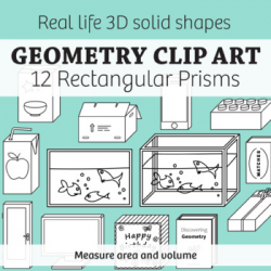 Real Life Objects Clip Art: 12 Regtangular Prisms 2D & 3D Solid ...