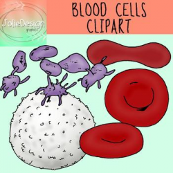 Blood Cells Clip Art - Anatomy Science Clipart - Color and Blackline ...