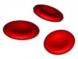 28+ Collection of Red Blood Cells Clipart | High quality, free ...