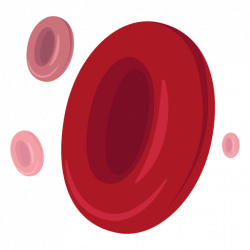 Red blood cells illustration - Transparent PNG & SVG vector