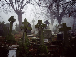 103 best Art. Photos. Cemetery, Spooky Places, Skeletons, Skulls ...
