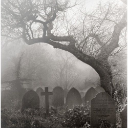 629 best 4 my Reapers images on Pinterest | Graveyards, Cemetery ...