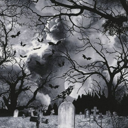 Wicked Eve - Graveyard in Grey - Timeless Treasures Fabrics - HALF ...