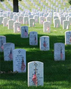 Clipart - Graves At Arlington On Memorial Day