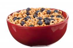 A bowl of cheerios with blueberry - stock photo free