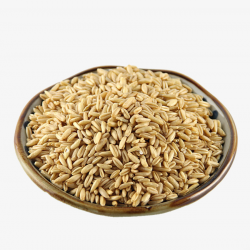 A Coarse Grain Rice, Oat, Roughage, Cereals PNG Image and Clipart ...