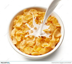 Corn Flakes With Milk Stock Photo 31974497 - Megapixl