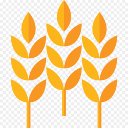 Computer Icons Wheat Cereal Food - barley png download - 960*960 ...