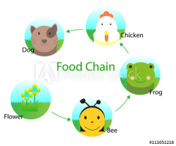 Food chain for kids - Buy this stock vector and explore similar ...