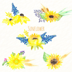 Sunflower watercolour clip art Digital Watercolor clipart