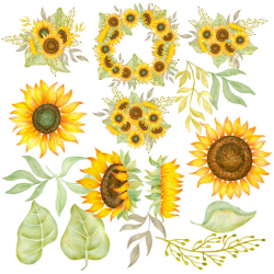 Sunflower clipart Watercolor sunflowers clipart Hand painted