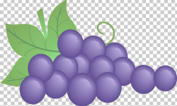 Grape First Communion Eucharist PNG, Clipart, Catechesis ...