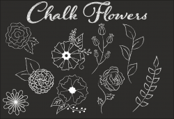 Clip Art Chalk Flower Illustrations ~ Illustrations ~ Creative Market