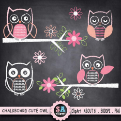 Chalkboard Cute Owl ClipArt 