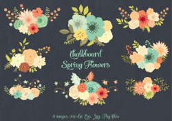 Chalkboard Spring Flowers ~ Illustrations ~ Creative Market
