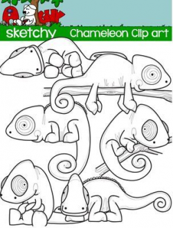 Chameleon Clipart / Graphics from Sketchy Guy on TeachersNotebook ...