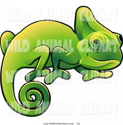 Cameleon clipart wild life - Pencil and in color cameleon clipart ...