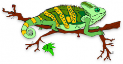 Chameleon Clipart Lizard Free collection | Download and share ...