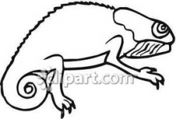 Chameleon Outline - Royalty Free Clipart Picture