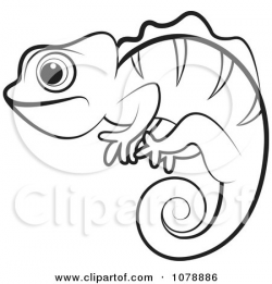 Chameleon Outline Drawing at GetDrawings.com | Free for personal use ...