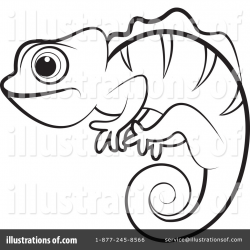 Chameleon Outline Drawing at GetDrawings.com | Free for personal use ...