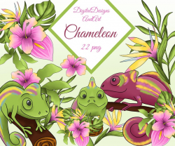 Chameleon clipart, chameleon illustration, Tropical clipart, hibiscus  clipart, Summer clipart, summer flower, Paper supplies