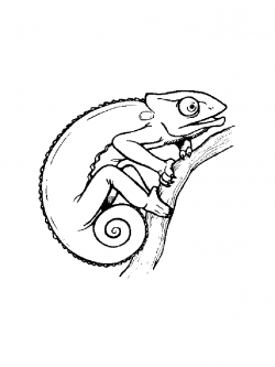 Chameleon clipart 3 - WikiClipArt