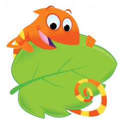 9 best Colorful Chameleons images on Pinterest | Chameleon ...