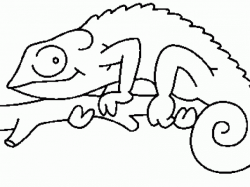 Chameleon Line Drawing | Free download best Chameleon Line ...