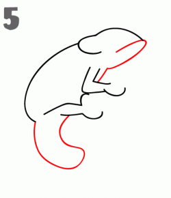 How To Draw a Chameleon - Step-by-Step