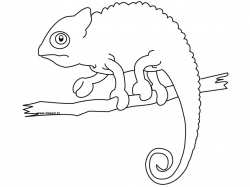 Chameleon Drawing at GetDrawings.com | Free for personal use ...