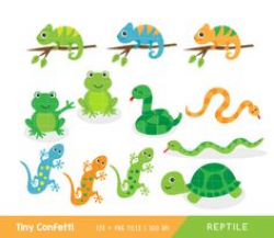 Chameleon Digital Clip Art Clipart Set - Personal and Commercial Use ...