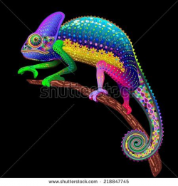 chameleon, graphic art, rainbow colors, reptile, vector art ...