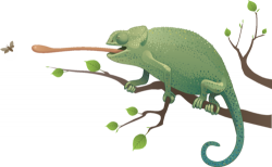 Exotic Pet Sitting By Shellby