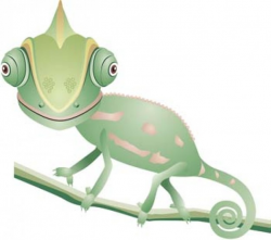59 best animaliak images on Pinterest | Chameleon, Chameleons and ...