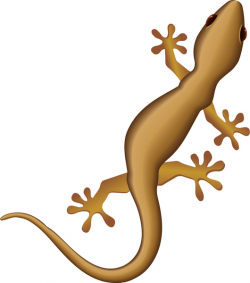 Vector chameleon lizard free vector download (87 Free vector) for ...