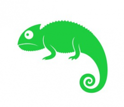 Chameleon photos, royalty-free images, graphics, vectors & videos ...