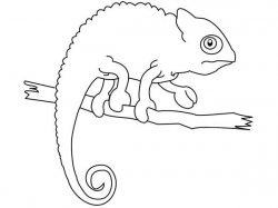 Chameleon Line Drawing at GetDrawings.com | Free for personal use ...