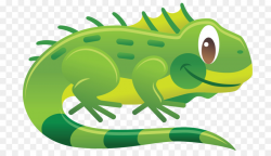 Chameleons Reptile Green iguana Lizard Clip art - lizard png ...