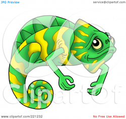 Chameleon clipart lizard - Pencil and in color chameleon clipart lizard