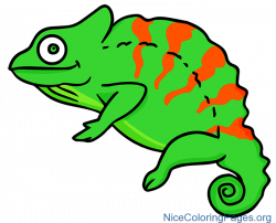 Chameleon Coloring Pages #Chameleon #ChameleonColoringPages ...