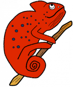 Chameleons | SUPER CLASS!