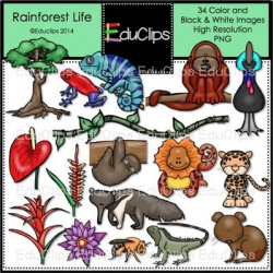Rainforest Life Clip Art Bundle | Education clipart