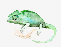 Watercolor Chameleon, Chameleon, Animal, Rainforest PNG Image and ...