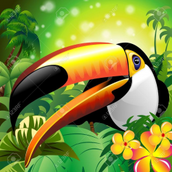 47 best Toucans images on Pinterest | Toco toucan, Parrots and ...