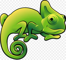 Chameleons Lizard Clip art - lizard png download - 1447*1310 - Free ...