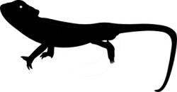 Silhouettes Clipart- chameleon-silhouette-0609-11 - Classroom Clipart